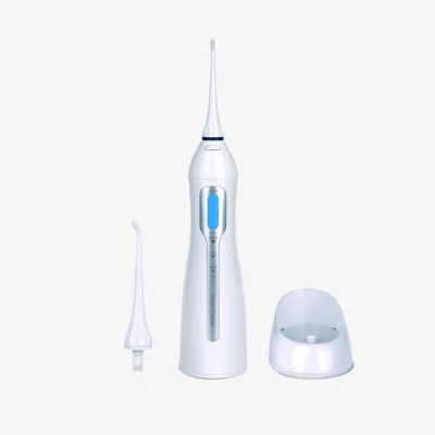 TECHWOOD TH-513 HYDROPULSEUR RECHAGEABLE